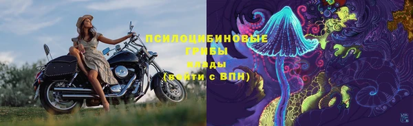 apvp Бугульма