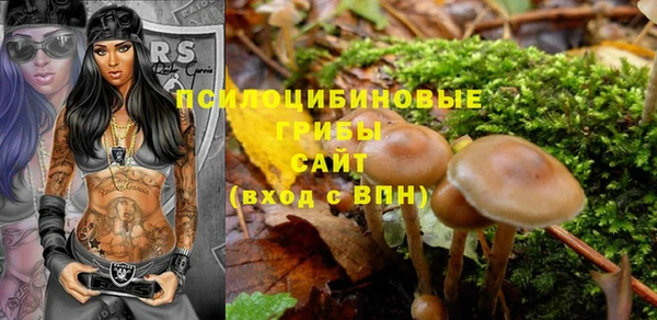 прущие крисы Строитель