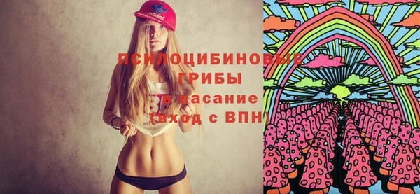 крисы Бородино