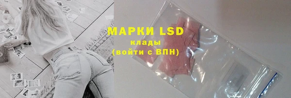 spice Белокуриха
