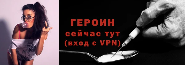 крисы Бородино