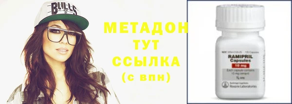 крисы Бородино