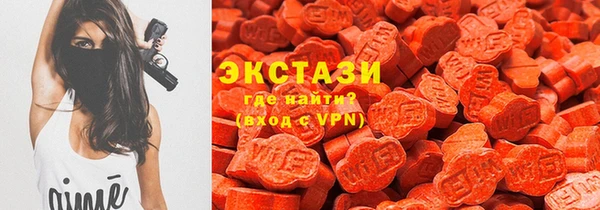 крисы Бородино