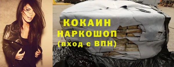 крисы Бородино