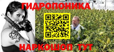гидропоника Кулебаки