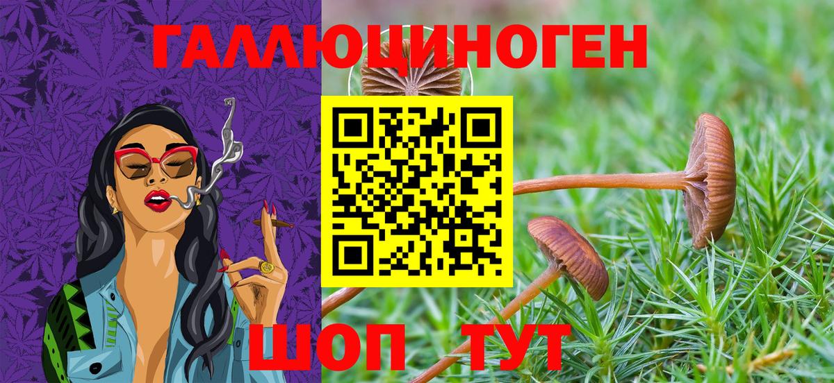 Гатчина  Галлюциногенные грибы MAGIC MUSHROOMS  Псилоцибиновые грибы прущие грибы  Вход с VPN 