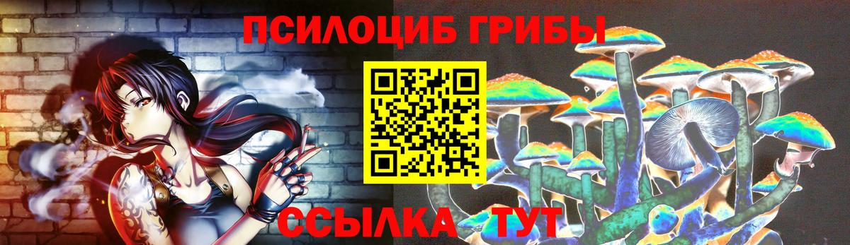 Псилоцибиновые грибы ЛСД Гатчина