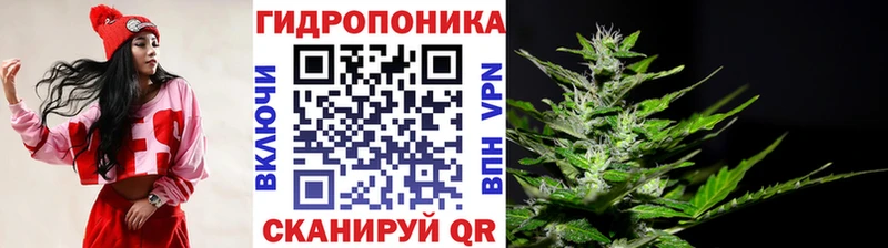 Каннабис LSD WEED  Гатчина 